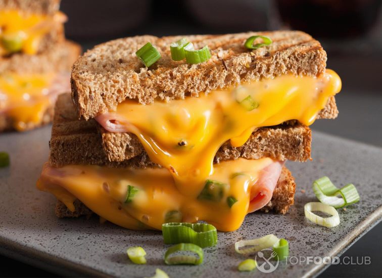 2021-10-27-5s7nrz-grilled-ham-and-cheese-sandwich-2021-08-26-16-58-19-utc