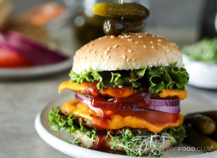 2023-03-13-4er9lq-vegan-cheeseburger-food-photography-recipe-idea-2022-12-16-00-00-18-utc