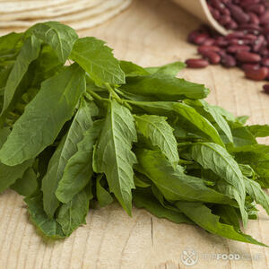 Ветки эпазота на доске