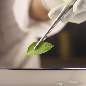 Украсьте блюдо