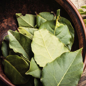 Лавровый лист