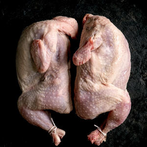 размороженная перепёлка