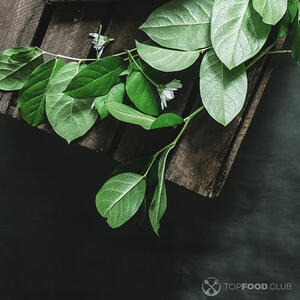 Листья вишни