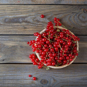 красная смородина