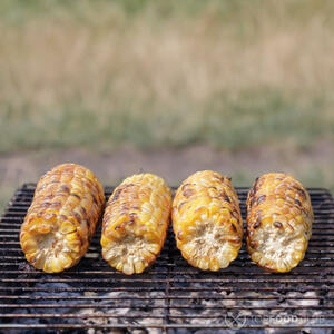 Кукуруза на решетке.