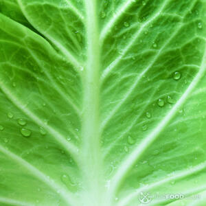 отделяем листья капусты