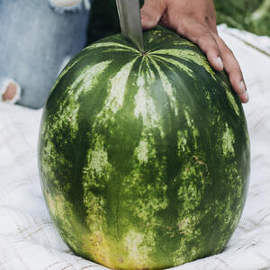 нарезает арбуз