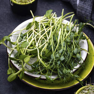 Микрозелень