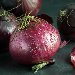 репчатый лук