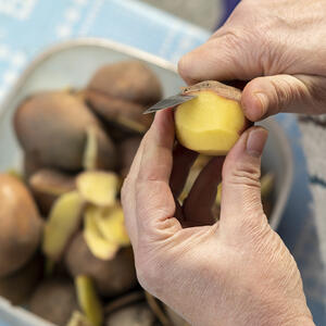 чистит картофель