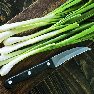 зеленый лук