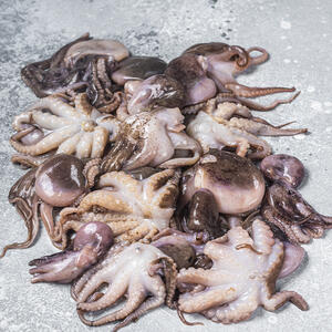 Сырые осьминоги