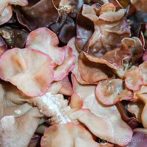 маринованные вешенки