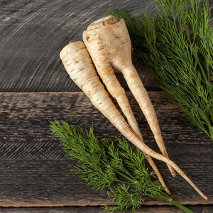 Корень петрушки