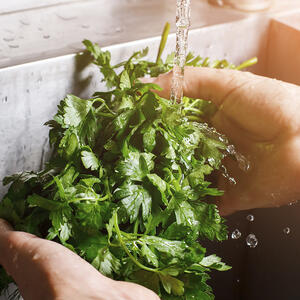 Мыть петрушку