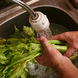 Моем сельдерей