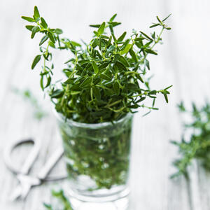 Моем тимьян