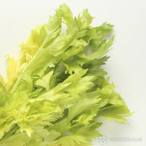 листья сельдерея