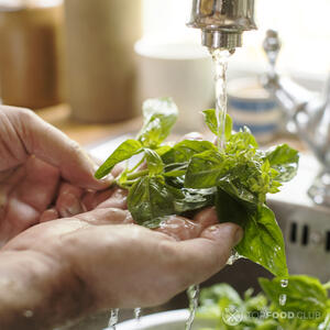 моет базилик