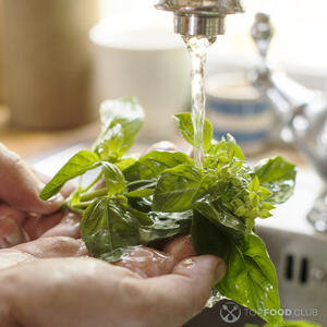моет базилик