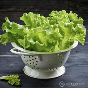 листья салата