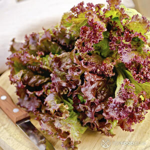 листья салата