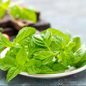 листья базилика