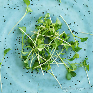 микрозелень