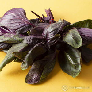 красный базилик