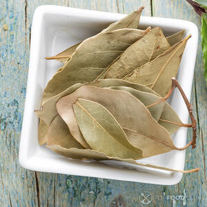 лавровый лист