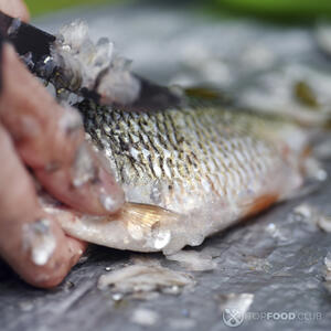 чистит рыбу