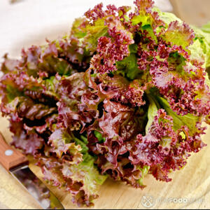 листья красного салата