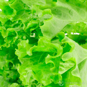 чистые салатные листья