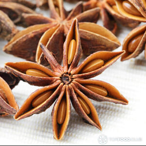 анис звездчатый