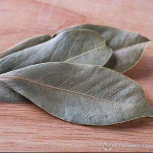 лавровый лист