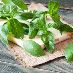 листья базилика