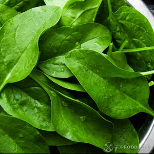 листья шпината