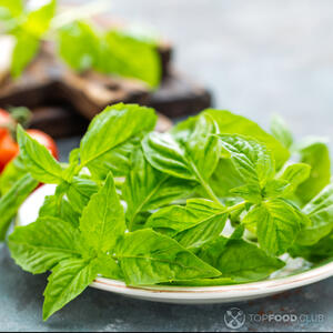 листья базилика