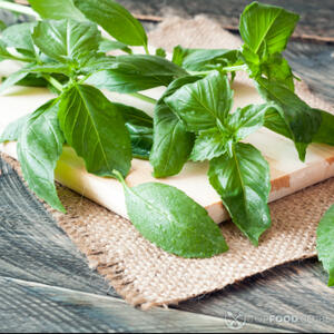 листья базилика