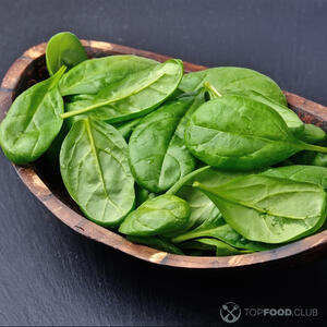 листья базилика