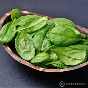 листья базилика