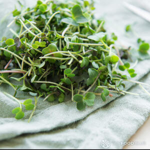 Микрозелень