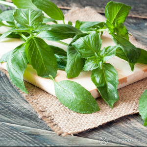 листья базилика