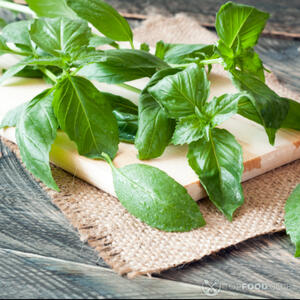 листья базилика