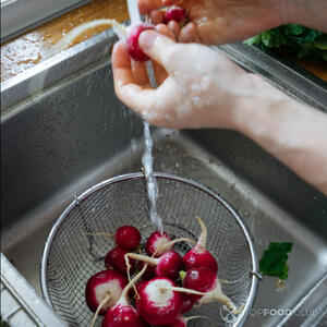 моем редиску