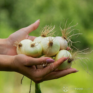 Подготовьте лук