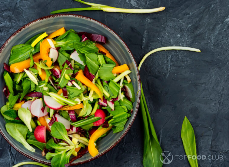 2023-05-18-j2rtg3-vegetable-vitamin-salad-with-wild-garlic-2023-03-24-22-12-58-utc