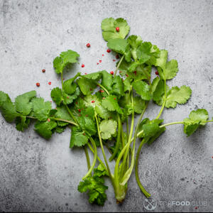 свежая кинза