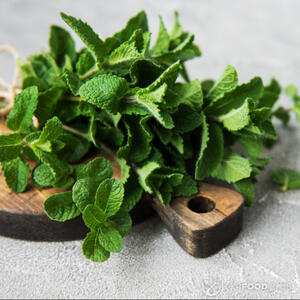 листья мяты