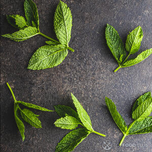 листья мяты